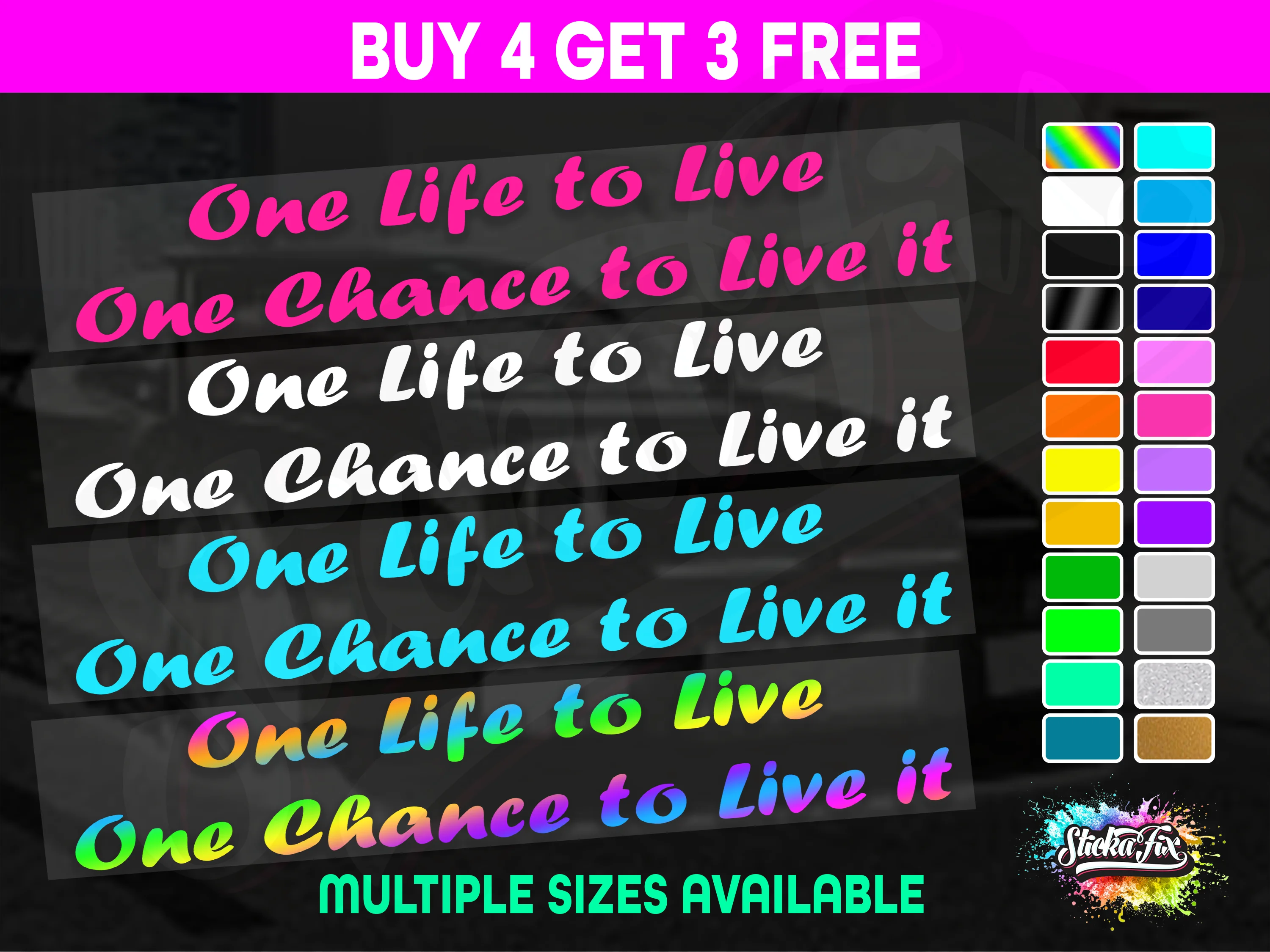 One Life To Live One Chance To Live It