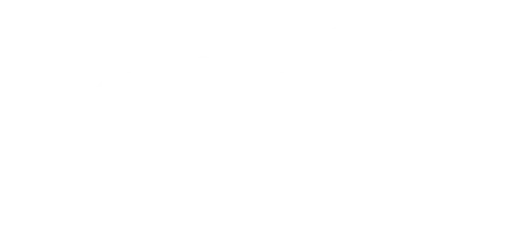 Playmate Playboy
