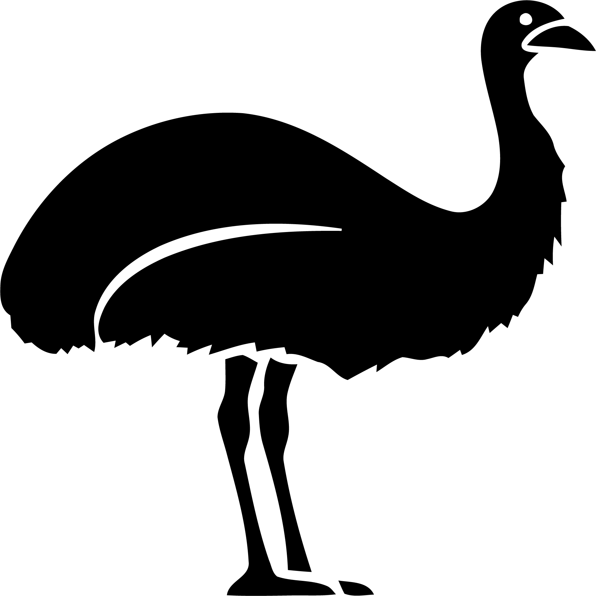 Emu