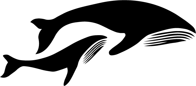 2 Whales