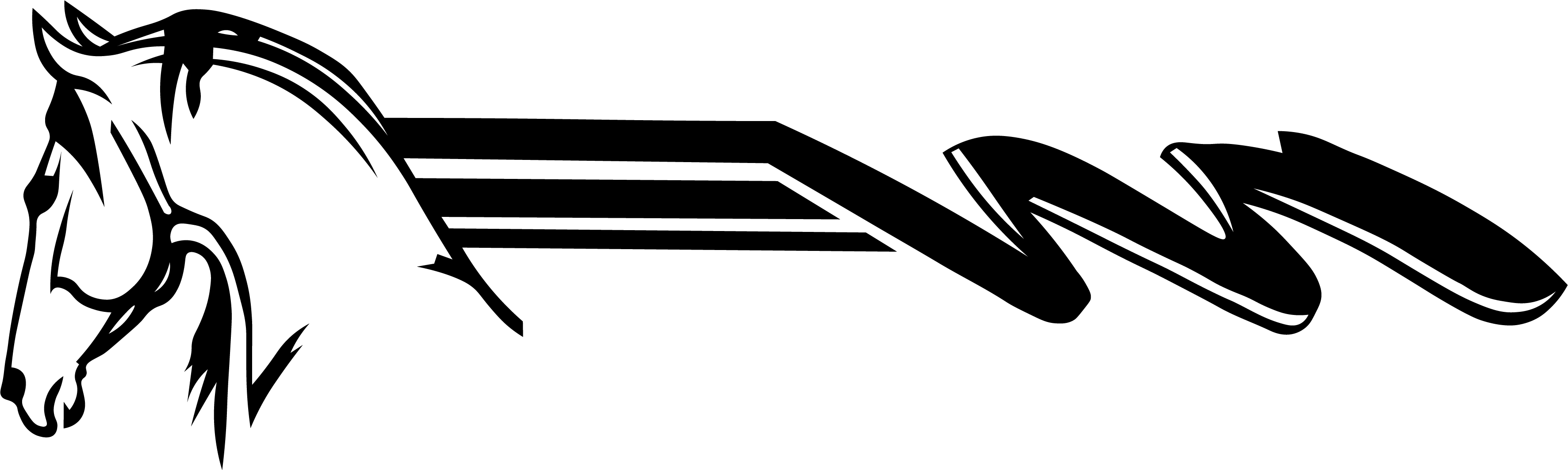 Horse Head Squiggle