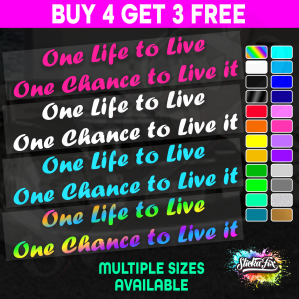 One Life To Live One Chance To Live It