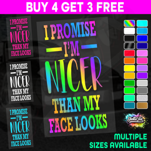I Promise Im Nicer Than My Face Looks