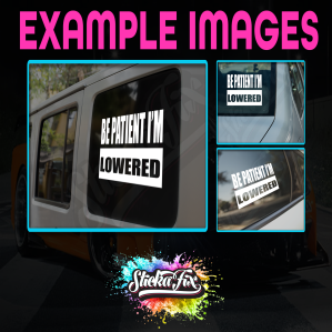 Be Patient Im Lowered - Image 2