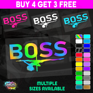 Boss Stripper Pole