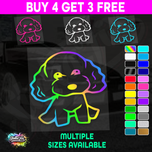 Cute Poodle