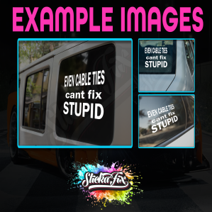 Even Cable Ties Cant Fix Stupid - Image 2