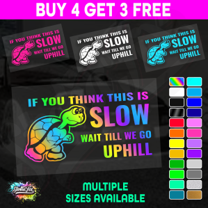 If You Think This Is Slow Turtle - Image 1