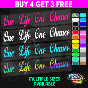 One Life One Chance - Image 1